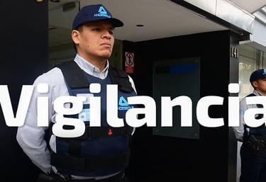 Servicio de Seguridad