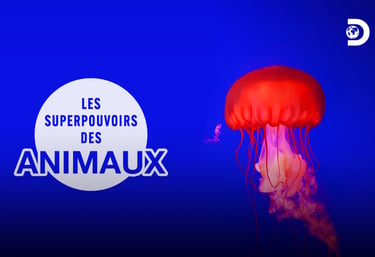 les superpouvoirs des animaux