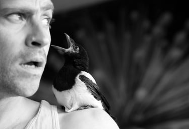 Portrait Claude Cattelain Artiste Art contemporain