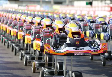 Sodi SR3 Sigma karts