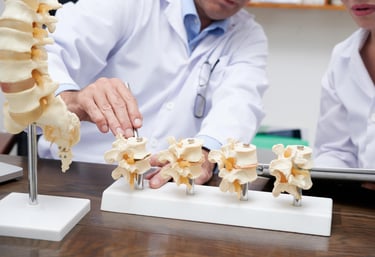 Ein Arzt erklärt dem Patienten anhand von Modellen die Wirbelsäule