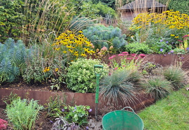 Mixed perennial border