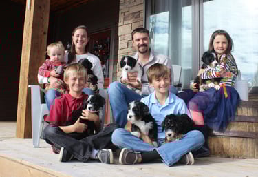 family raised doodles, bernedoodle puppies