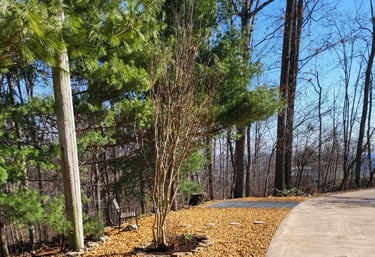 Driveway Rock