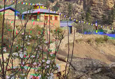 Rigmo village in phoksundo lake