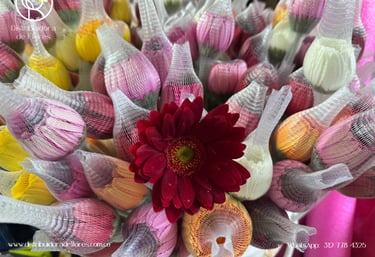 flores al por mayor Mistrató