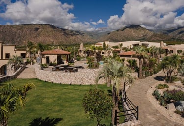 Piattelli Wine Resort in Salta, Argentina, featuring luxury villas surrounded by vineyards