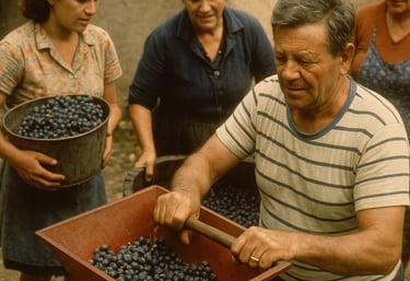 persone che lavorano le uve nelle marche