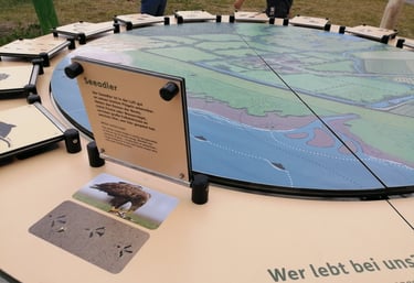 Exponat über die Tiere, die in der Region leben.
