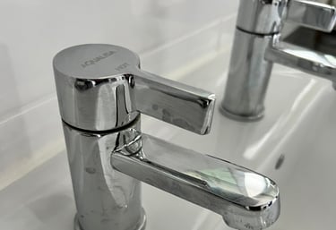 Bath, basin, kitchen, outside taps repaired and replaced.