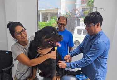 Doctor Jagath 24/7 emergency veterinary care at Pet Pulse Animal Hospital Battaramulla