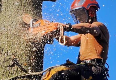 Élagueur professionnel en plein travail, élaguant un arbre à l’aide d’une tronçonneuse.