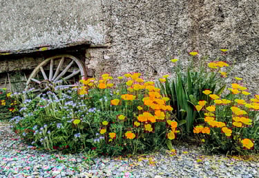 une roue de chariot se trouve devant un mur de pierre et des fleurs devant