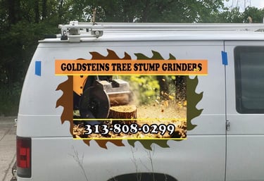 Goldsteins Tree Service stump removal in Eastpointe Michigan for residential customers.