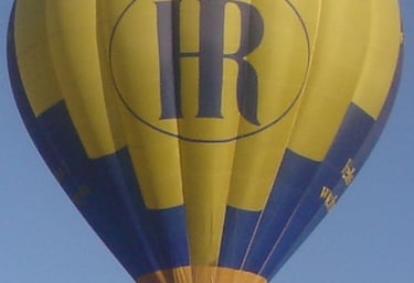 montgolfière F-GROY en vol en gros plan, logo association Montgolfières du Roy