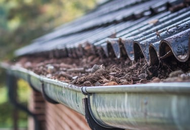 Gutter cleaning tips