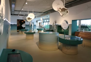 Luftblasen finden sich auf Displays, Tafeln und interaktiven Stationen.