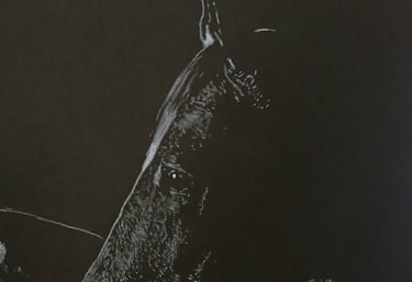 Black horse oeuvre monochrome originale 