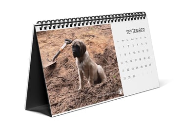 desktop calendar