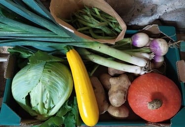Panier de légumes bio