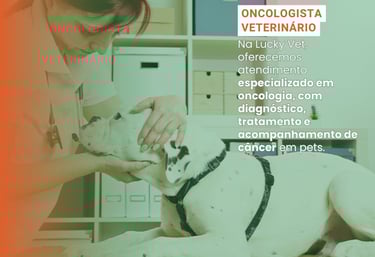 Oncologista Veterinário é na Lucky Vet, Pet Shop e Clínica Vererinária na Zona Norte de São Paulo