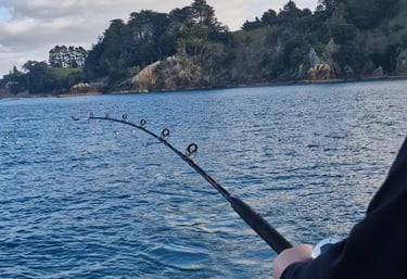 May your rod bend and fish be wholesome with Auckland Fishing Charters
