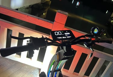 electric scooter 11inch wheels