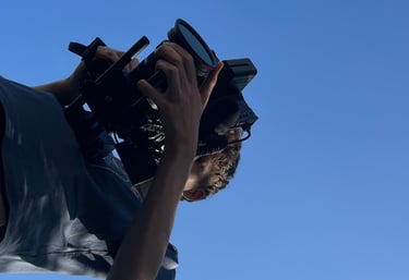 Professionele video's