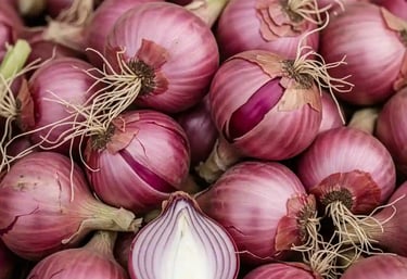 fresh pink onion