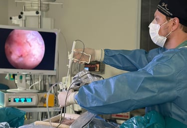 Cirurgia Endoscópica