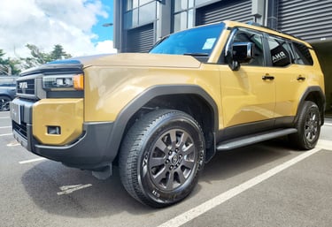 the coating lab Auckland IDA certified car detailer ceramic coating graphene coating paint correction cut and polish 