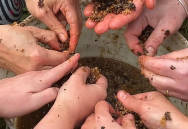 a circle of people's hands over a bucket of liquid preparing honeycomb for a herbal remedy