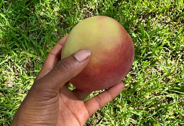 hand holding peach business support team