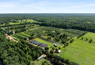 Drone image of agriculture field
