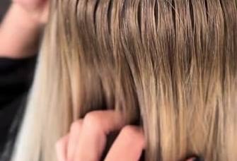 stock photo butterfly extensions