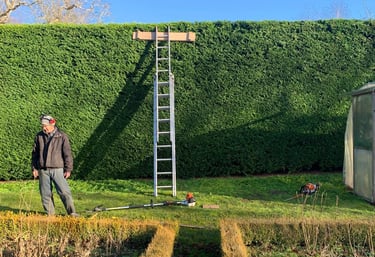 hedge cutting bridgnorth