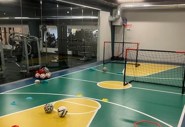 Area multisport della palestra Move 2 Grow a Milano con campo colorato, porte da calcio, palloni e attrezzature per allenamen
