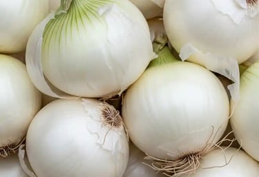 fresh white onion