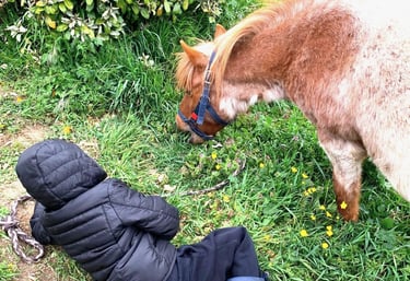 Un petit garçon allongé à côté de son poney qui broute le regarde durant une séance d'équithérapie