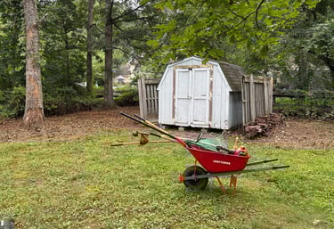 Southern Maryland overgrowth removal services clearing brush, weeds, and tall grass to restore a res
