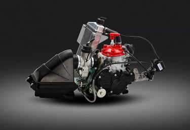 Rotax 125 MAx Evo