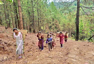 Young girls in the forest to pick fruits