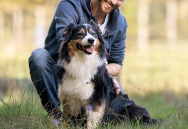 séance d’ecole du chiot en petit groupe chez activ canin à gironde