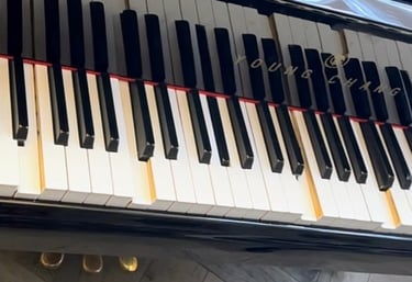 Piano player system