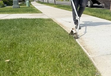 Lawn Edging and trimming