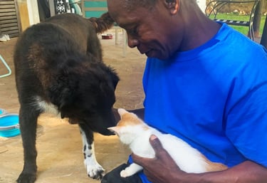 AAK farm manager is hanging out with animals