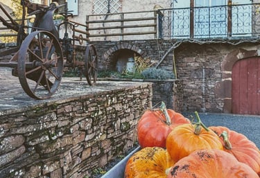 Des citrouilles dans une brouettes