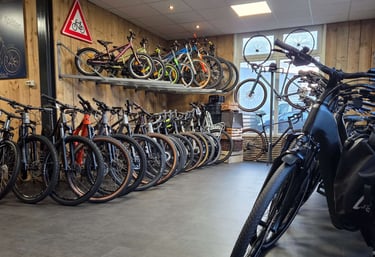  Fietsen in de showroom van Otto’s Tweewielershop.
