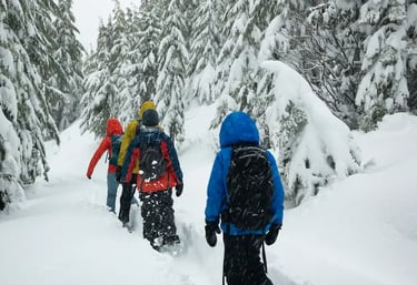 Collégiens en sortie raquettes au Grand-Bornand