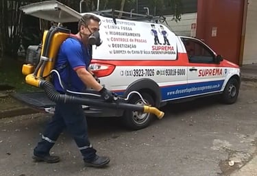 dedetização